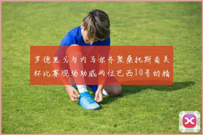 罗德里戈与内马尔齐聚桑托斯南美杯比赛现场助威两位巴西10号的精彩时刻