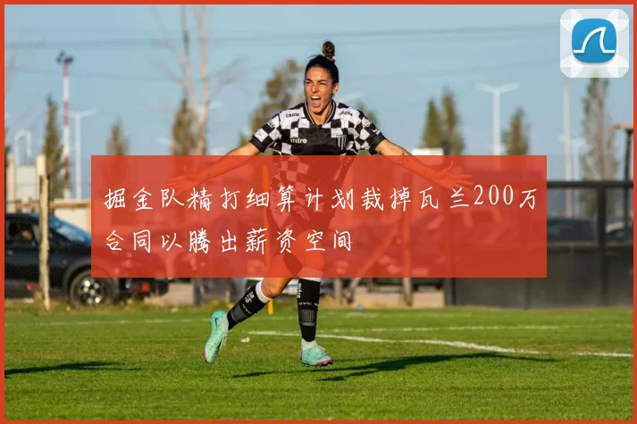 掘金队精打细算计划裁掉瓦兰200万合同以腾出薪资空间