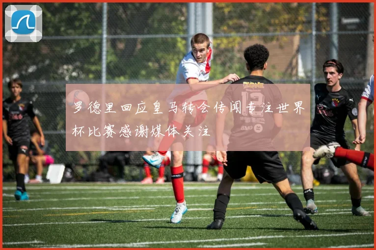 罗德里回应皇马转会传闻专注世界杯比赛感谢媒体关注